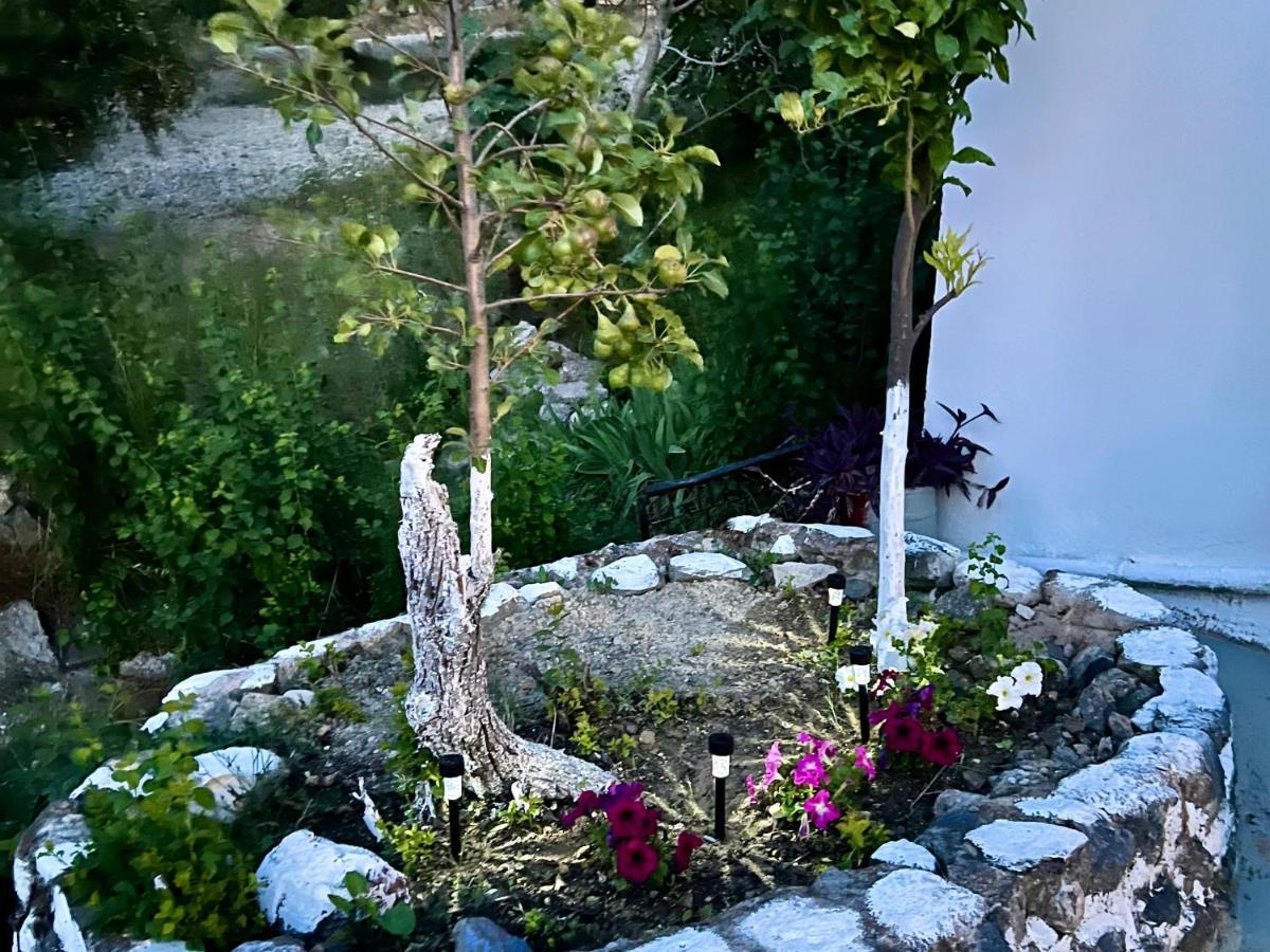 Willa Greek House Tatiana Miasto Kos Zewnętrze zdjęcie